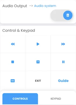 screenshot from video interface
